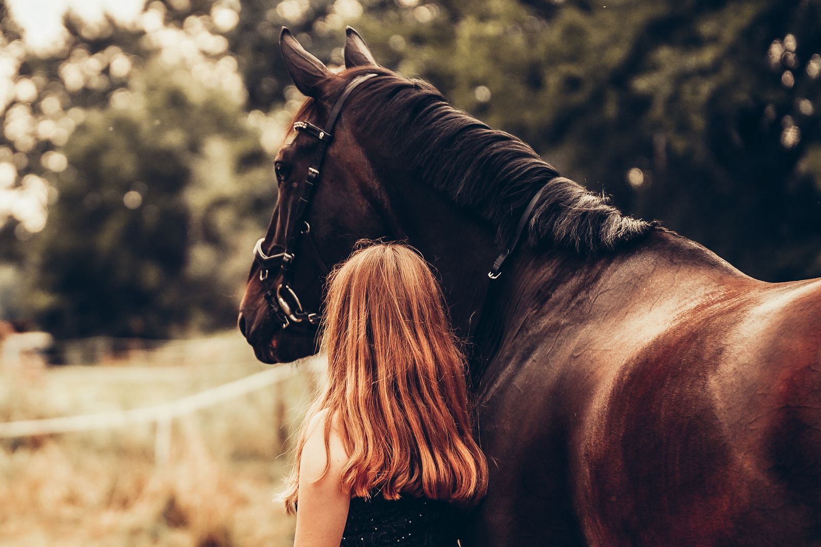 A woman standing quietly beside her horse, both at ease in soft light.