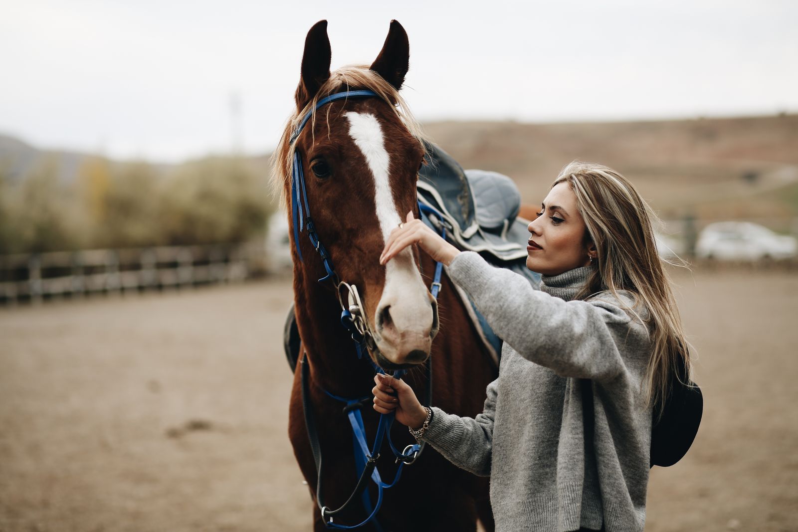 A gentle hand resting on a horse's face.